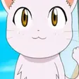 Neko