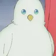 Pii