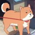 Barking Dog