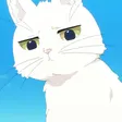 Neko