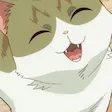 Haneko