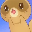 Poko