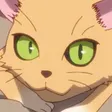 Nyansuke